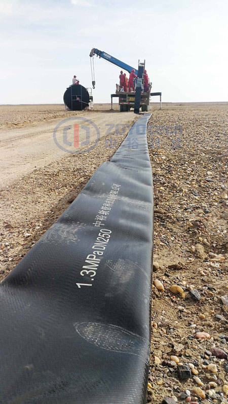 一次成型共挤双面聚氨酯软管