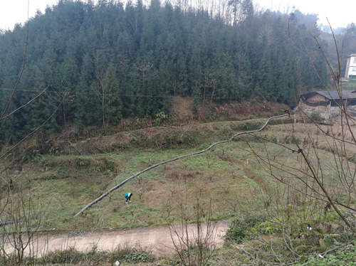 大口径聚氨酯软管